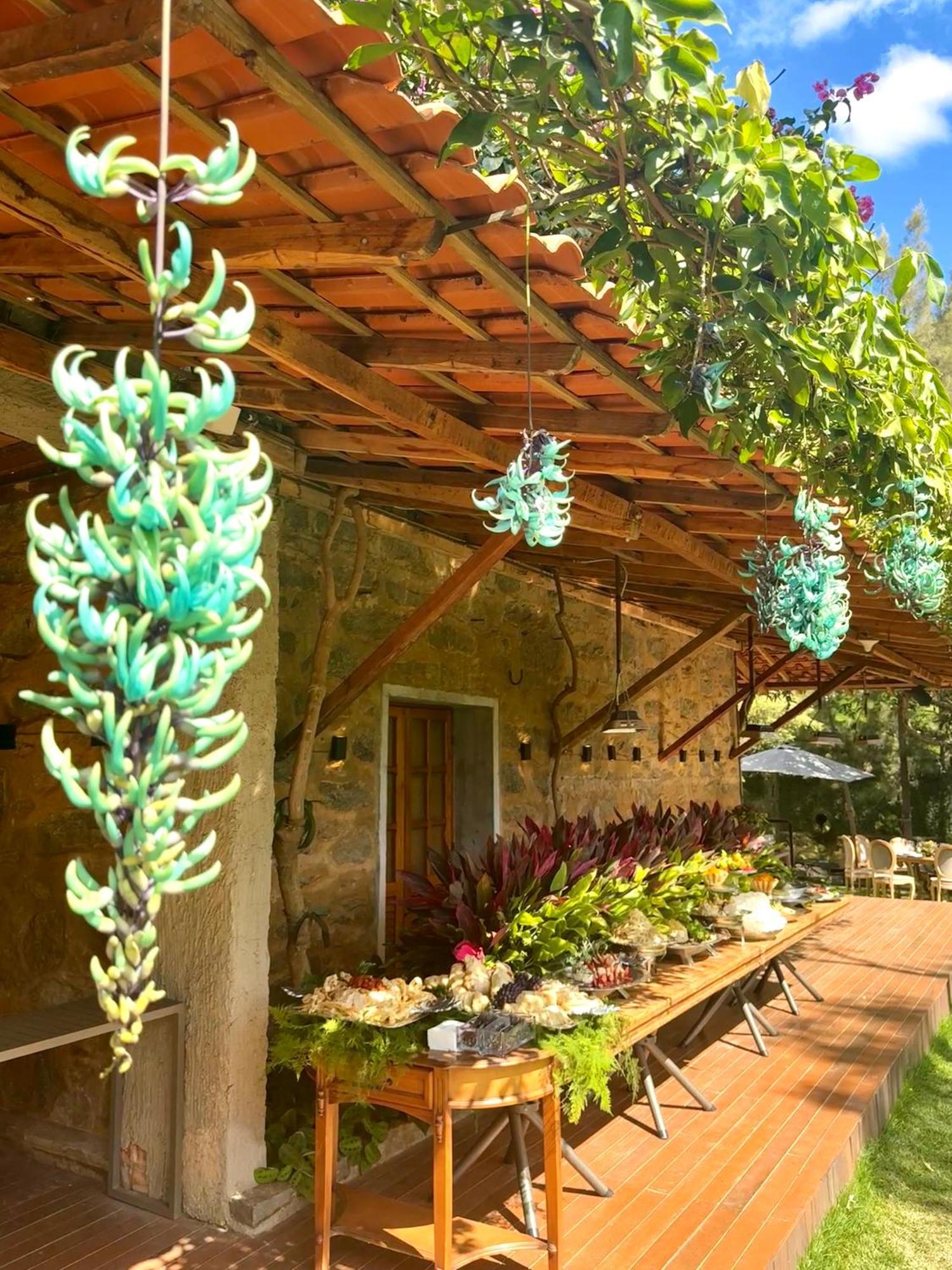 Fazenda Cachoeira Boutique Hotel Caratinga エクステリア 写真